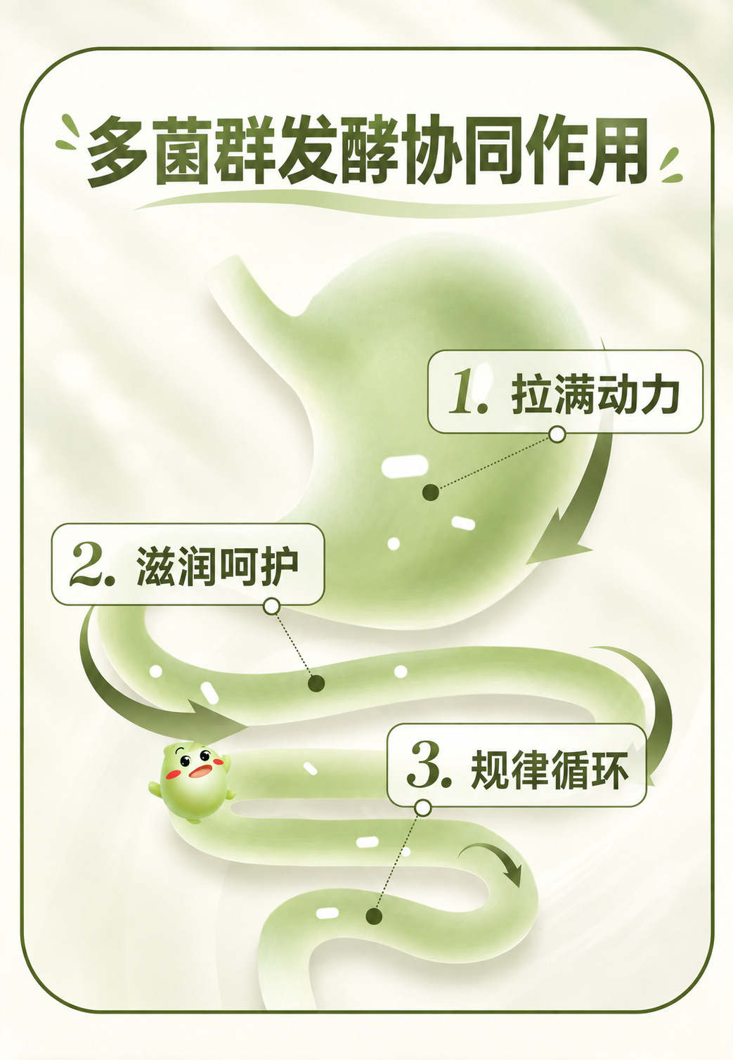 Probiotic Grain & Fruit-Vegetable Enzyme Powder — Fermented Fiber Drink Mix quality and texture
