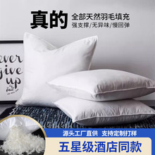 a������α���оɳ�l���������������|���^���|�Ƶ꿿���đ