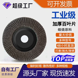 页轮、页片;磨片、切割片;砂带
