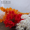 Manufactor Supplying Anise flower Dried flowers Bouquet of flowers wholesale diy flower arrangement Flower material Dried flowers Bouquet of flowers