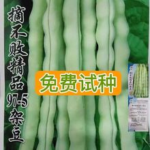 ժƷ97-5ܶNӸ߮aؼļǷNӴﲥ߲˷N