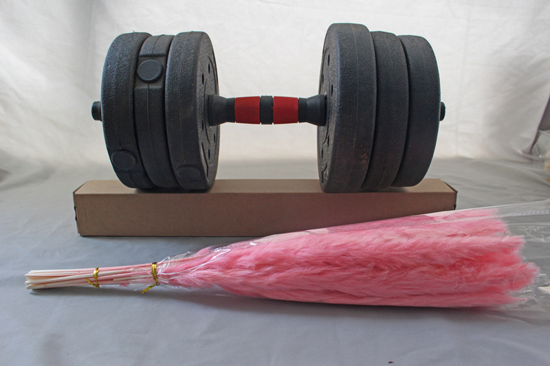 위의 사양은 독립 포장 상자