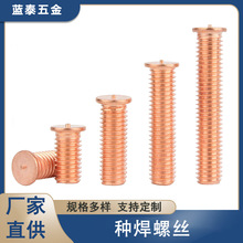 �F��~�N���ݽz ����k���ù��I���ߏ����c���ݽz �ǘˁ�DԔԃ