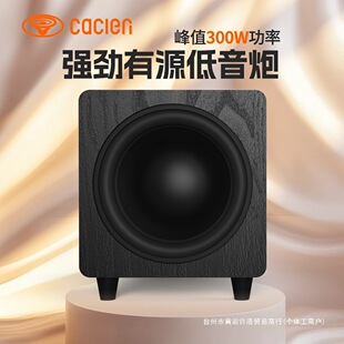 Cacien 10inch Pure Bass Active Subwoofer Home Home Theater High Power Subwoofer Speaker