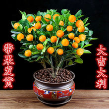 ���������ļ���ۘ��玧�������҃��̨���B���ܿ͏dֲ��ͥԺ�Gֲ