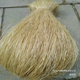 ����z����z�������̹ܵ���zˮů���b�ܼ��z���ܷ��S��z����