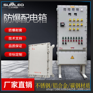 Explosion-Proof Control Cabinet Power Lighting Switch Distribution Cabinet Explosion-Proof Box Positive Pressure Cabinet Operation Box Stainless Steel Explosion-Proof Cabinet