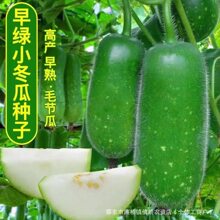 ��GС���ϷN���ļ��߮a��Ƥ��������С���ϷN���׷N�̨�����߲�