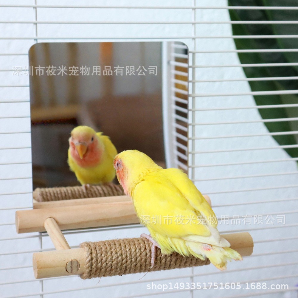 Parrot Toys in Stock Simple Solid Wood Ladder Climbing Platform Bird Mirror Stand Platform Bird Parrot Stand Pole