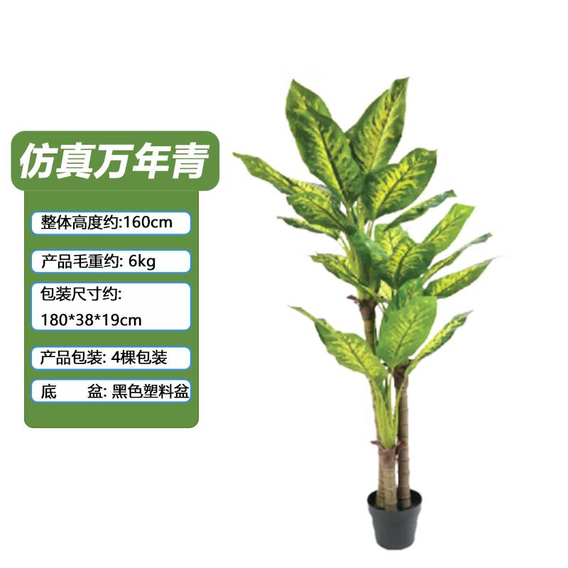 Simulación Evergreen Planta verde en maceta Oficina Sala de estar Decoración del hogar Varilla de plástico Simulación artificial Evergreen maceta