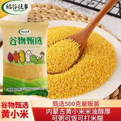 黄キビ 500 グラム新米粒内モンゴル赤峰農家香りもちキビお粥粗粒キビ卸売
