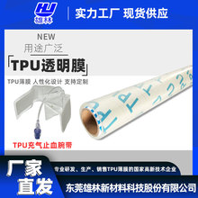 东莞雄林厂家直供 TPU超透明薄膜 用于医疗充气止血腕带