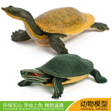 外贸货源仿真淡水乌龟模型甲鱼巴西龟静态实心宠物龟王八鳖摆件