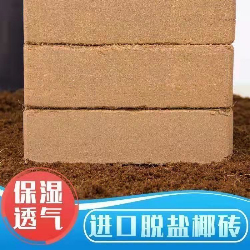 선택한 3개 [추천] 핫 세일