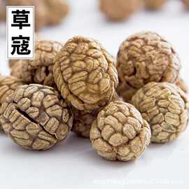 中草药草寇草豆蔻可做炖肉调料产地货源量大从优各种规格