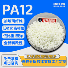 ����PA12�������wGF23450%����̼�w��늷��o늼��߻؏��͸ߜ�PA12