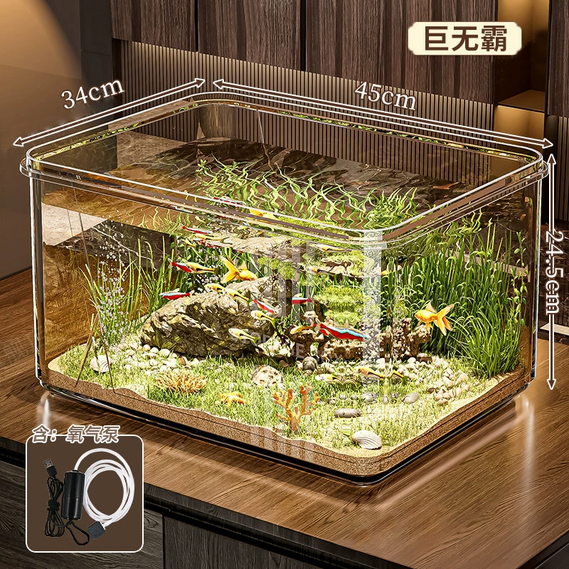 Transparent small square acrylic aquarium for office