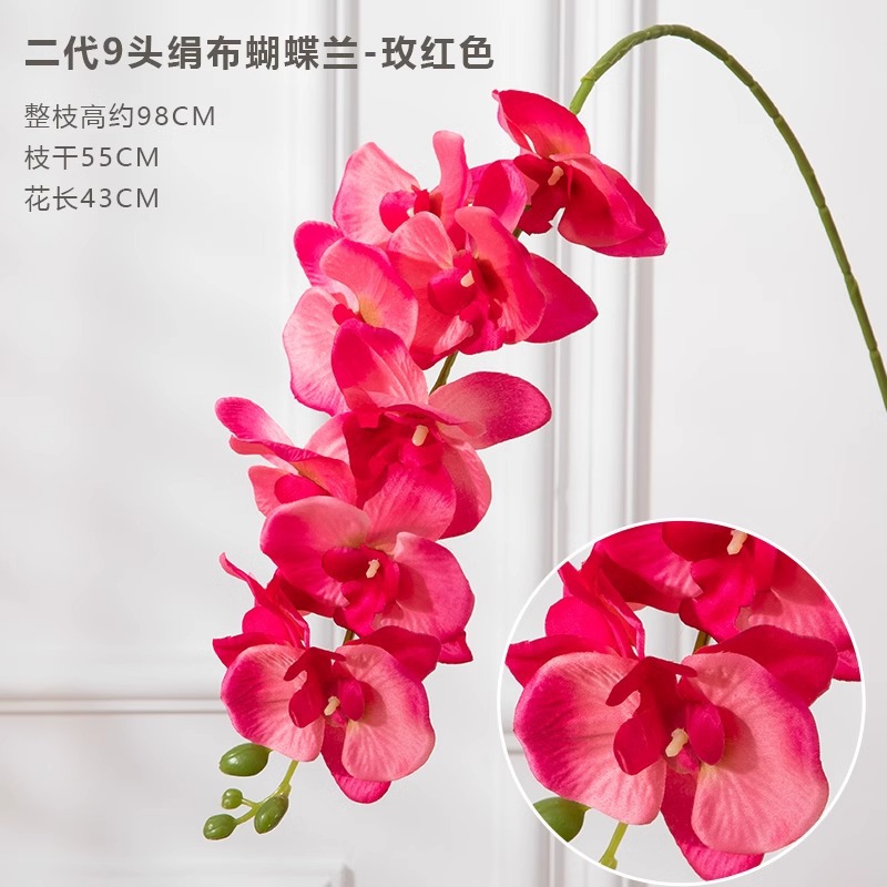 9 포크 phalaenopsis