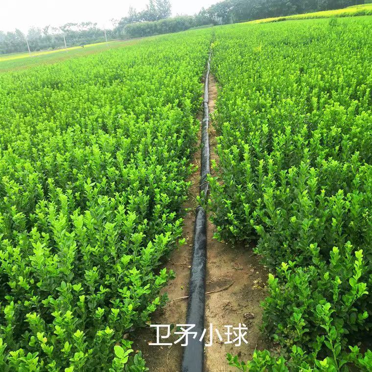 �lì���lì�����lì��ͥԺ�ͺ��G���h�����ļ������@�ֹ��̾G����