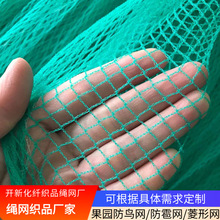 白色防雹网黑色防雹网PE防鸟网聚乙烯有结网08防雹网果园防雹子网