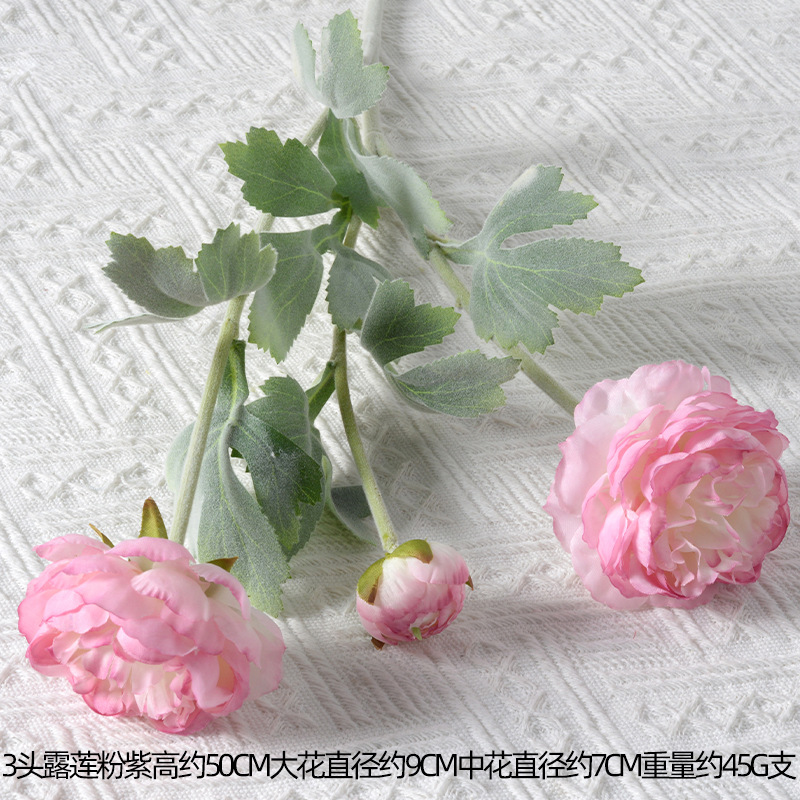 3 cabezas de loto rosa púrpura