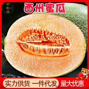 陇南玖和茂商贸有限公司