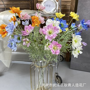 ���滨��ɳɏ��c�Y���û� �c�Y��ˇ��Ȼ�L�ҾӔzӰ�b��滨