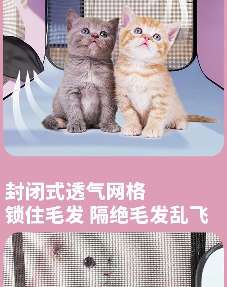 1eedf6e0-2a70-4f24-8378-b5a749dad45f.jpe