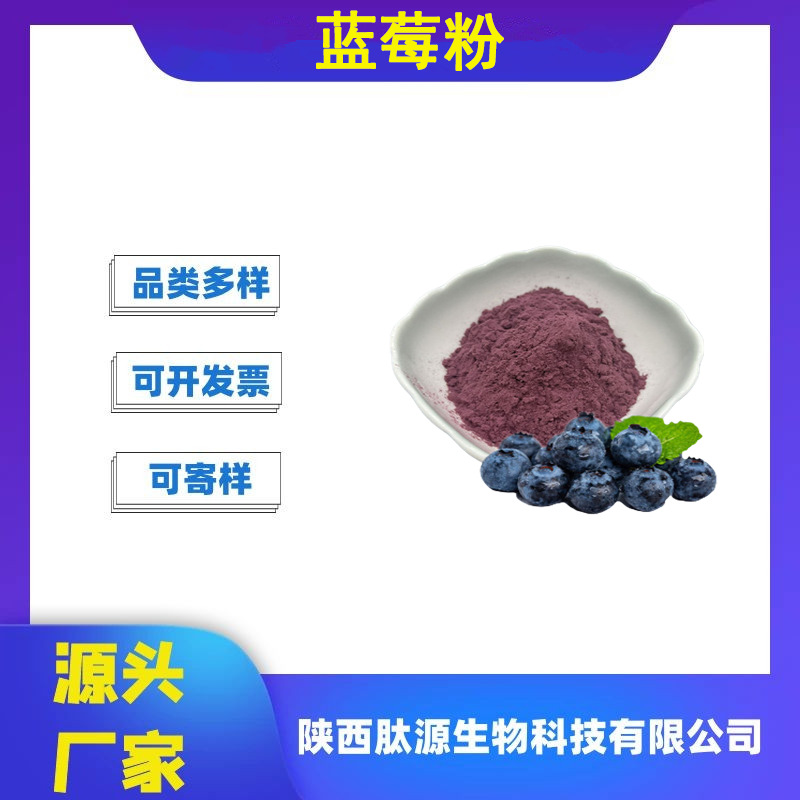 蓝莓粉 水溶性蓝莓果粉蓝莓提取物冻干粉固体饮料食品级原料