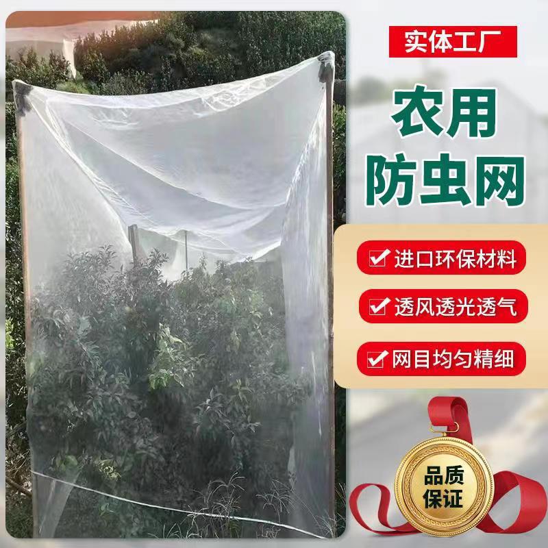 厂家批发40目60目80目100目防虫网白粉虱夜蛾蜜蜂防虫网葡萄用网