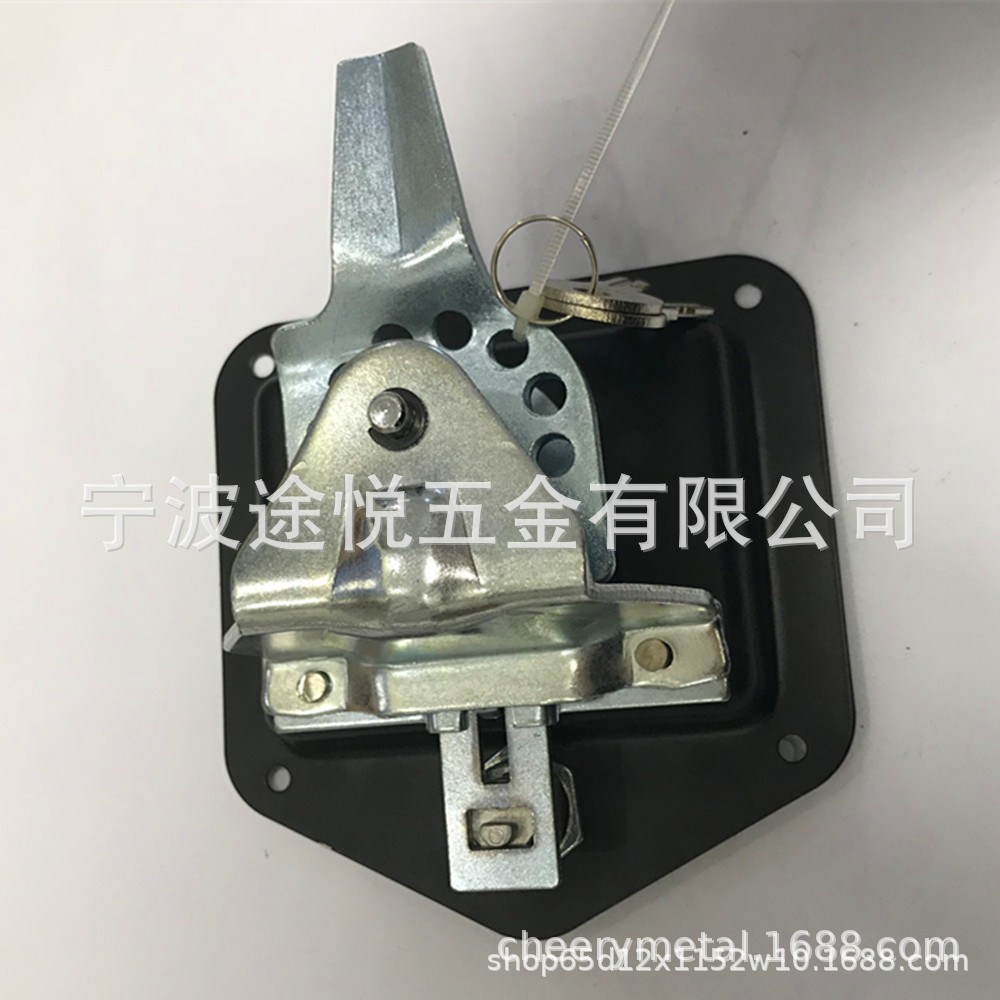 Factory supply stainless steel car tool box lock black spray plastic T-lock tool box lock RV lock fast clip