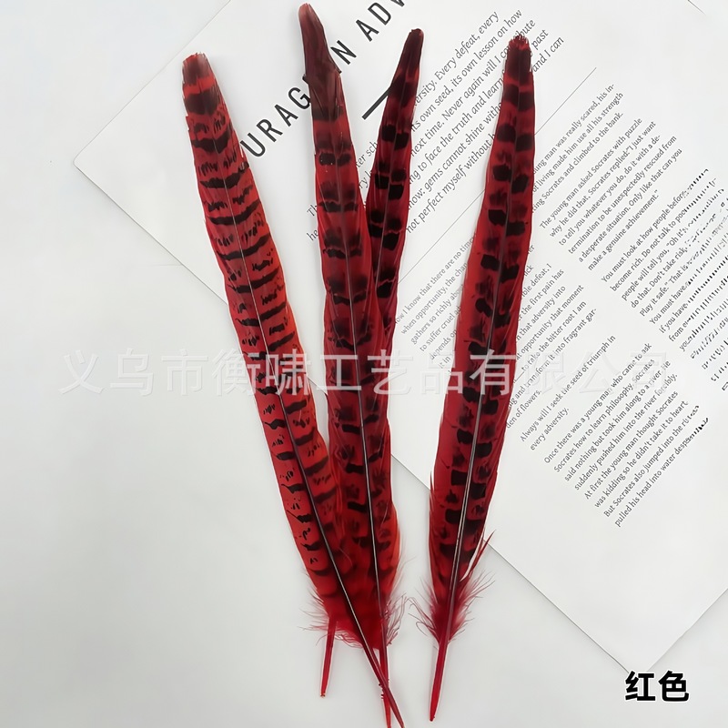 染色彩色羽毛母山鸡尾野鸡毛DIY手工制作婚庆舞台材料服饰配件|undefined