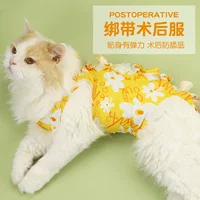 Дышащая стерилизующая одежда для домашних кошек, одежда для лечения против лизания и выпадения волос после операции, физиологические штаны для отлучения от груди и защиты от беспокойства для котов-самок.