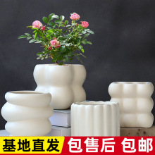 �����L�մɻ���ֲ��������Ծ��°�ɫins�p�݄����m������Gֲ��