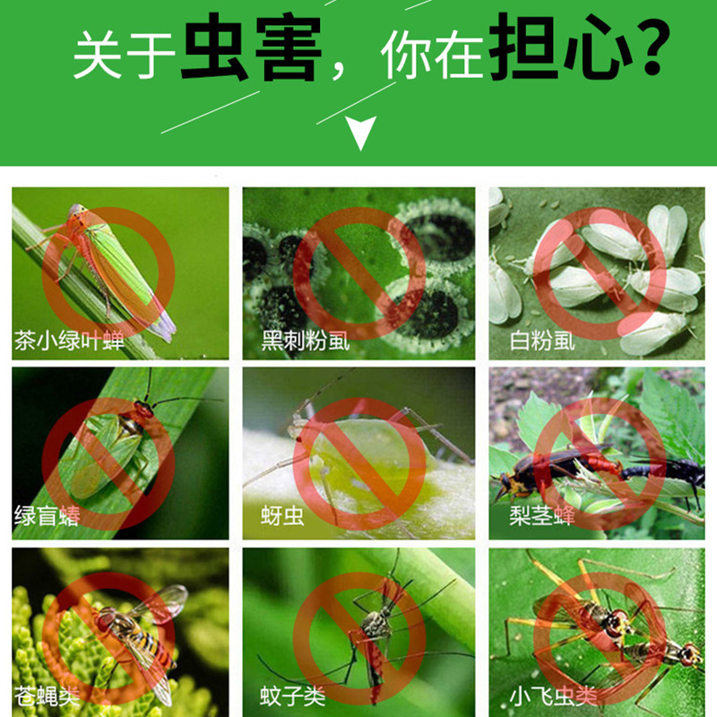 両面誘虫黄板青板農林果樹園捕虫貼付トラップ粘虫板ハエ貼付メーカー卸売り|undefined