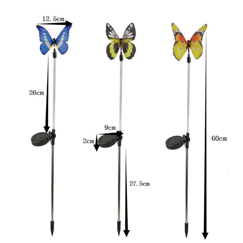 11170839507_1184907121