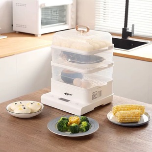 Aidewei Electric Steamer Multi-Function Electric Steamer with Timer 18 Liters Capacity Adr-1101B