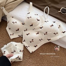 新品2541可爱腊肠狗内衣少女抹胸无痕奶皮舒适聚拢无钢圈文胸套装