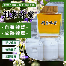 �G�l���� ��ɽ�Ԯa�������G�l���� 500gԭ���r�������� �G�l����