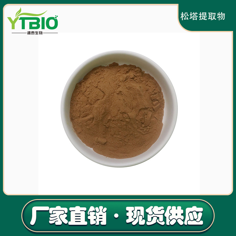 松塔提取物10:1   松塔粉 水溶性好 现货包邮