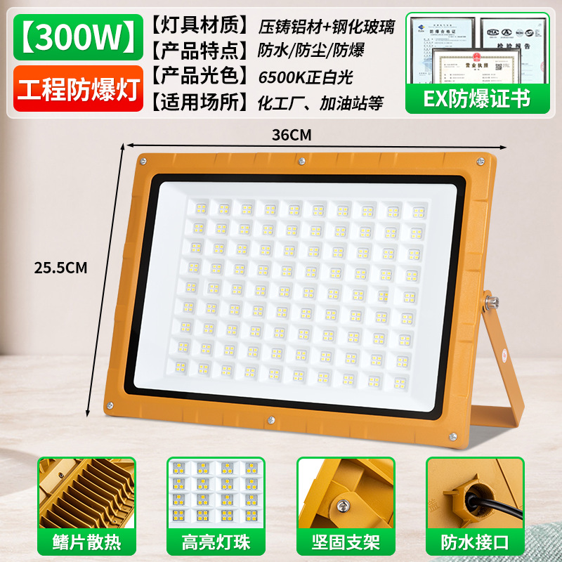 Storm EX 투광등 300w 두께의 알루미늄 쉘