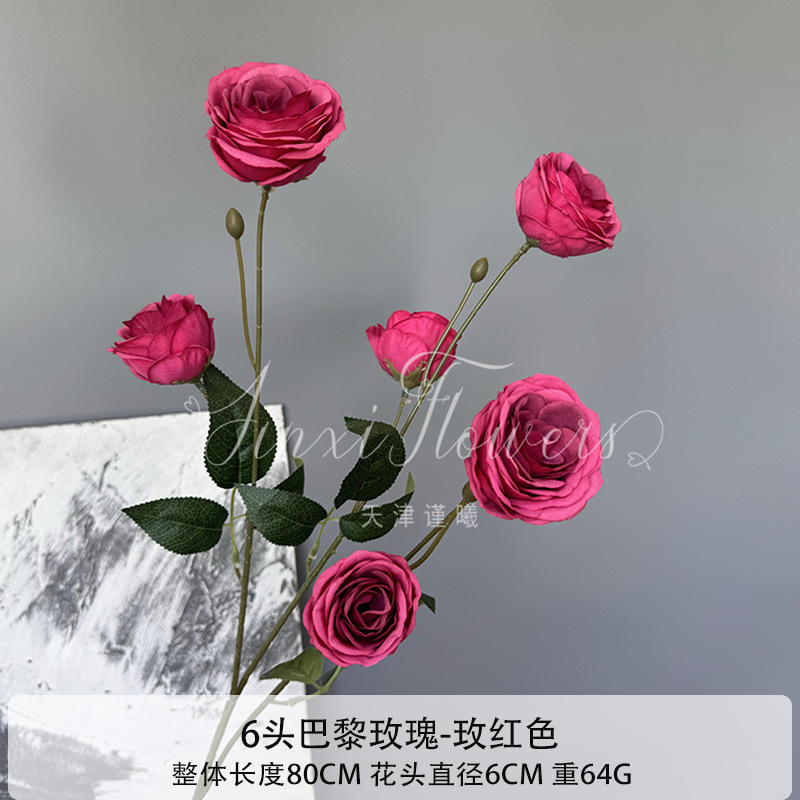 파리 장미 6송이
