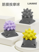 ��Ӳ�Ȍ��I��Ĥ��͹�c��Ħ����������_�ױ������i�٤����L��