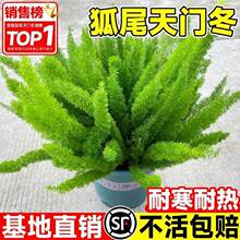 ��β���T�����Դ����̨ͥԺ�҃����ļ������͟��β���滨��ֲ��