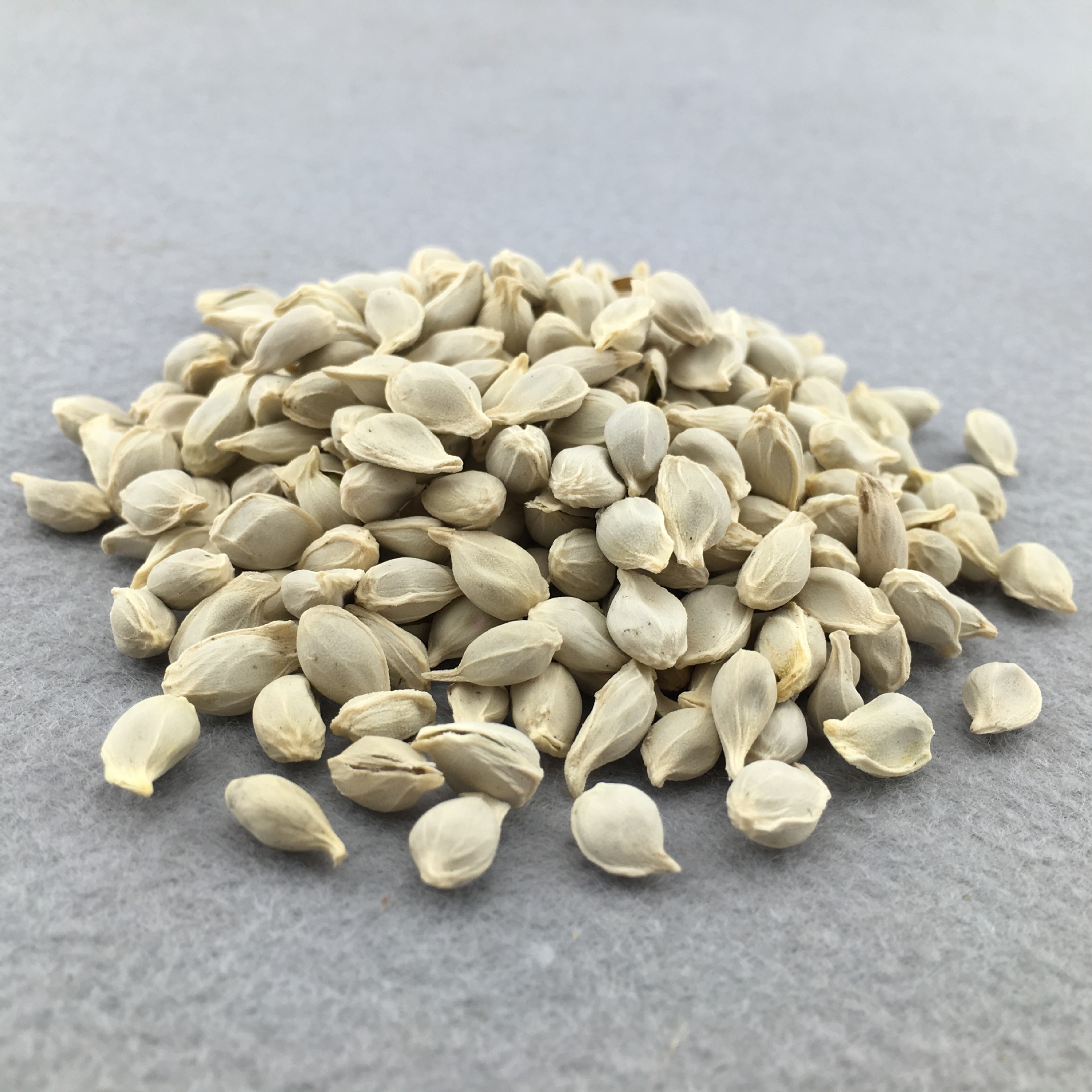 Dried Tangerine Seed Ju He Citrus Reticulata Bulk Herbal Tea Ingredient 500g key features