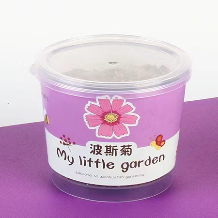 ֲСֻҪˮ СֲС԰칫2ԪƷ