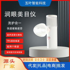 现货手持润眼仪舒缓眼部疲劳USB家用便携眼部雾化器雾化仪批发
