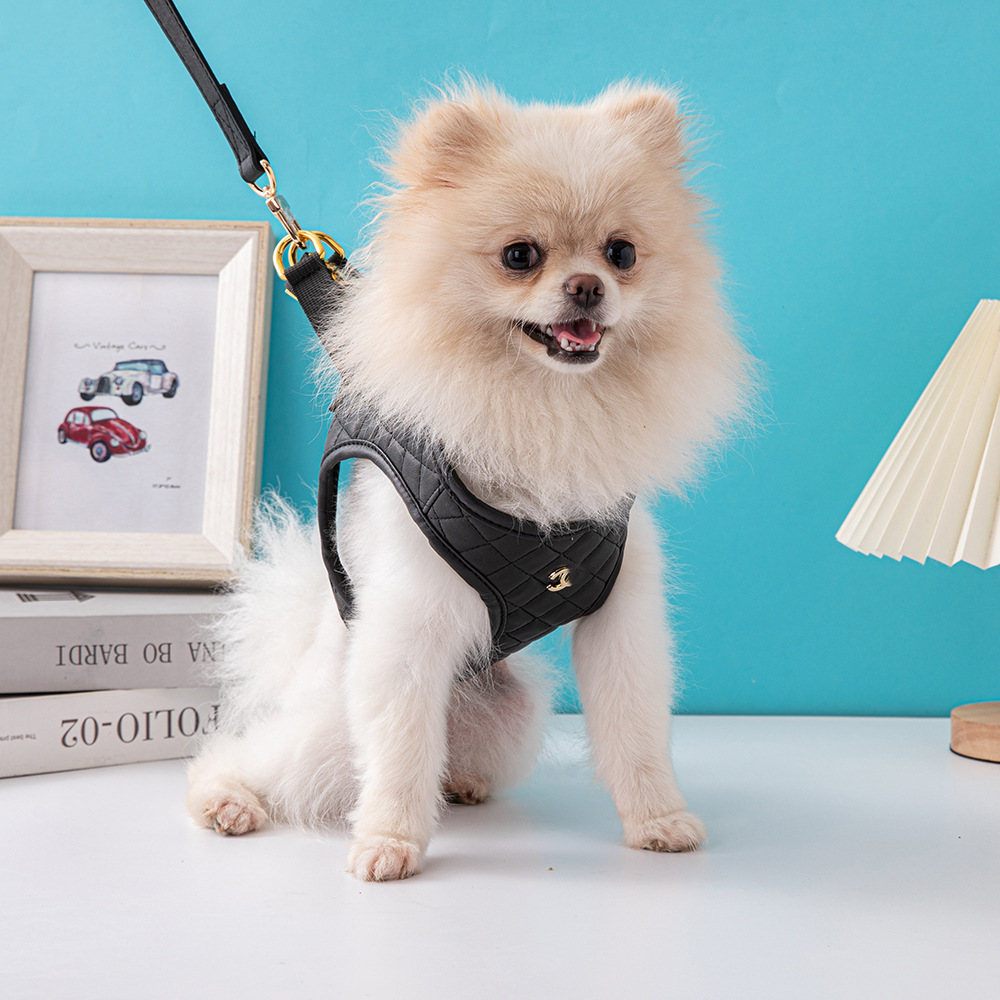 Amazon Cross -border spot small fragrance leather dog chest back…