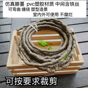 �����ٗl�����Ӱ�����҃��b��쾰���z�����������������������