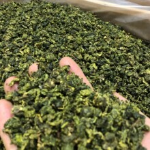 安溪铁观音茶叶安溪特产散装浓香型拖酸铁观音茶叶新茶乌龙茶青茶